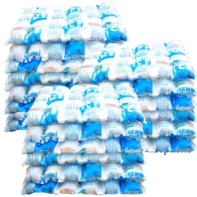 20 Techni Ice Heavy Duty Reusable Dry Ice packs *NEW HIGH PERFORMANCE MODEL