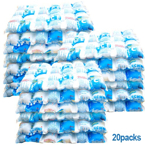 20 Techni Ice Heavy Duty Reusable Dry Ice packs *NEW HIGH PERFORMANCE MODEL