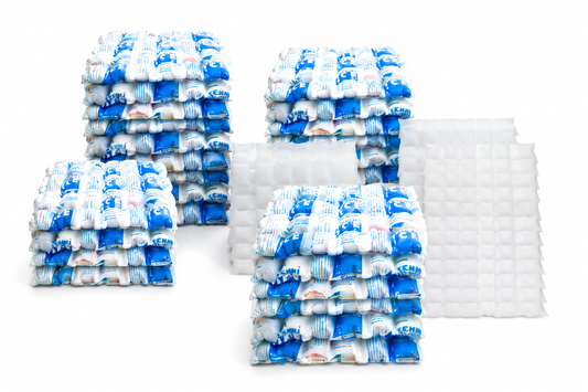 200 Techni Ice STD 2 PLY Disposable/ Minimum Reuse Dry Ice packs