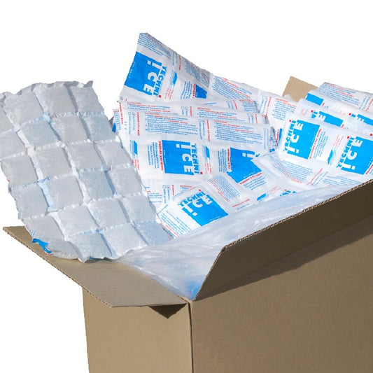 428 (1 Carton) Techni Ice STD 2 PLY Disposable/ Minimum Reuse Dry Ice packs